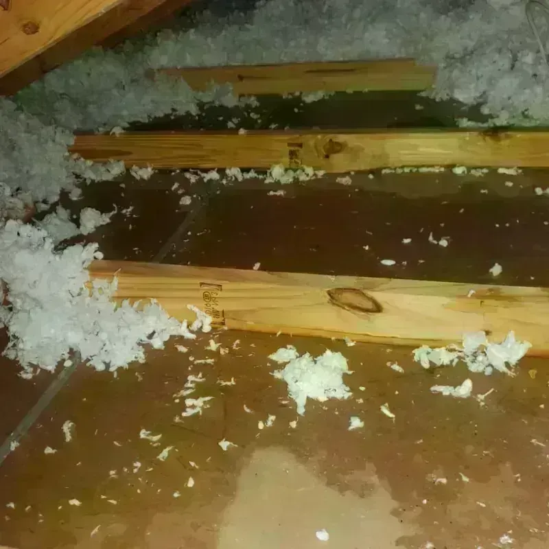 Attic Water Damage in Skyline Acres, OH