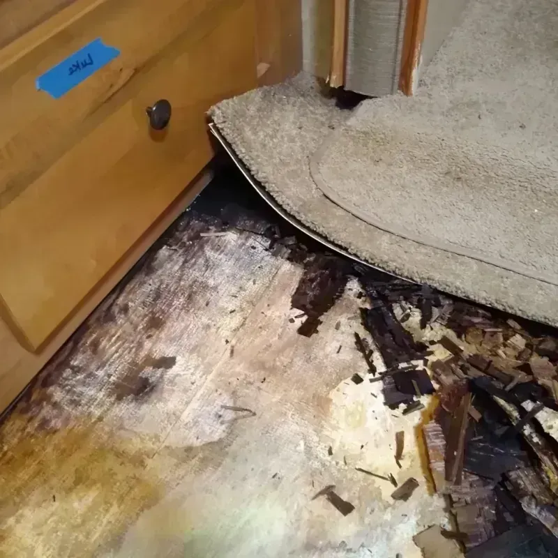 Wood Floor Water Damage in Skyline Acres, OH